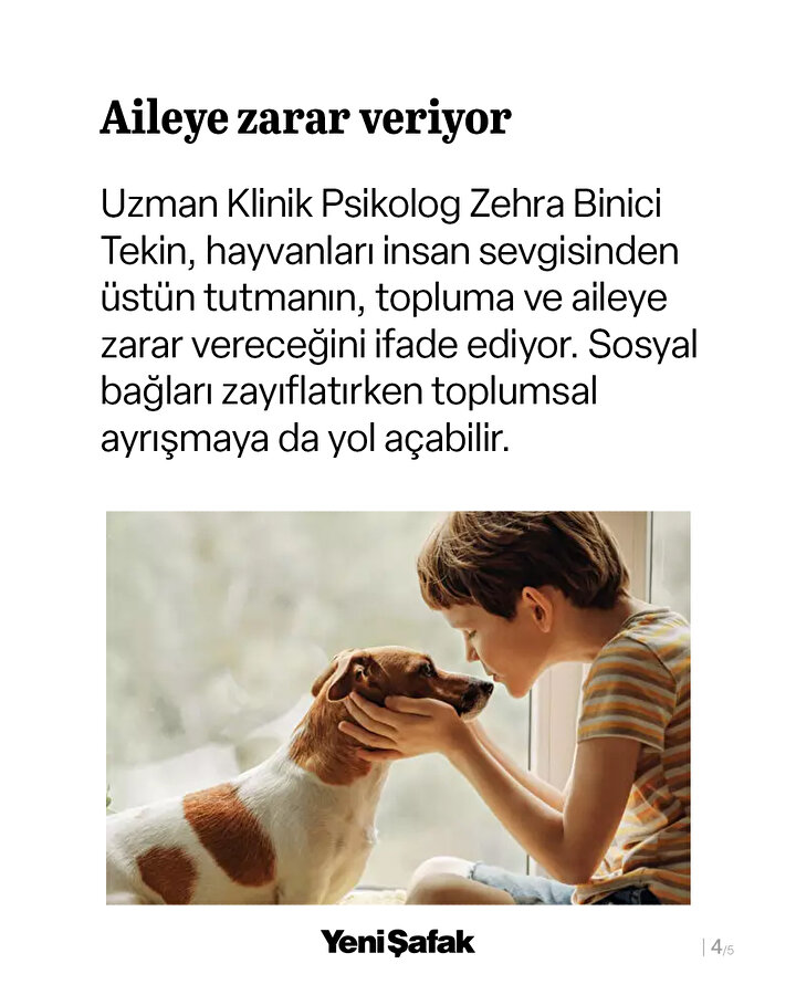/piri/upload/3/2025/4/1/3d68816a-b4.jpg