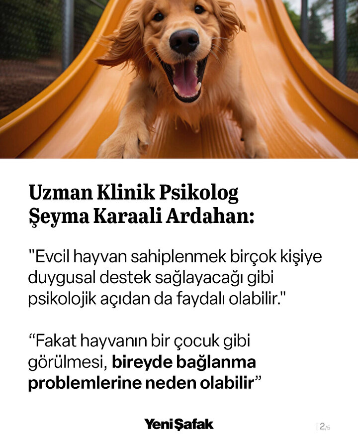 /piri/upload/3/2025/4/1/ff200d6e-b2.jpg