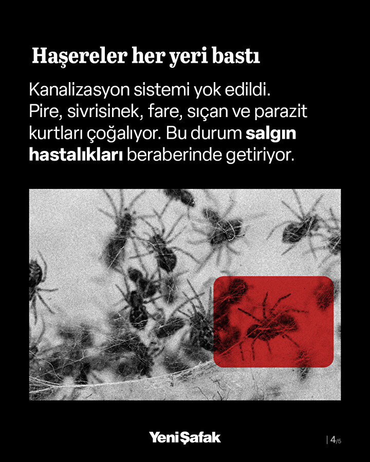 /piri/upload/3/2025/6/23/7b74febb-b4.jpg