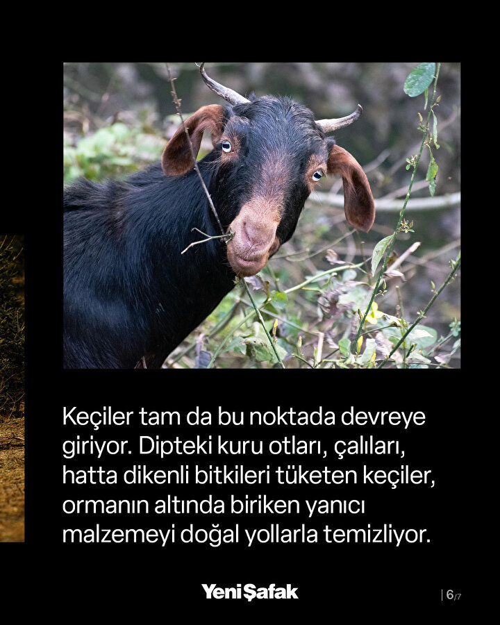/piri/upload/3/2025/7/30/68746f13-b6.jpg