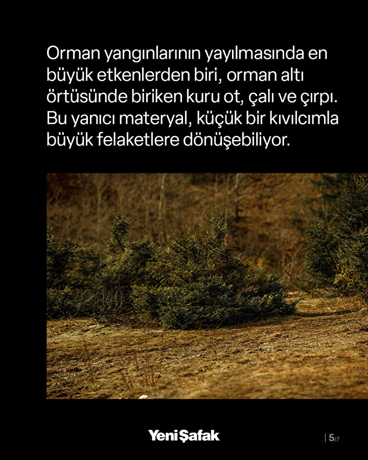 /piri/upload/3/2025/7/30/bd5f3ca2-b5.jpg