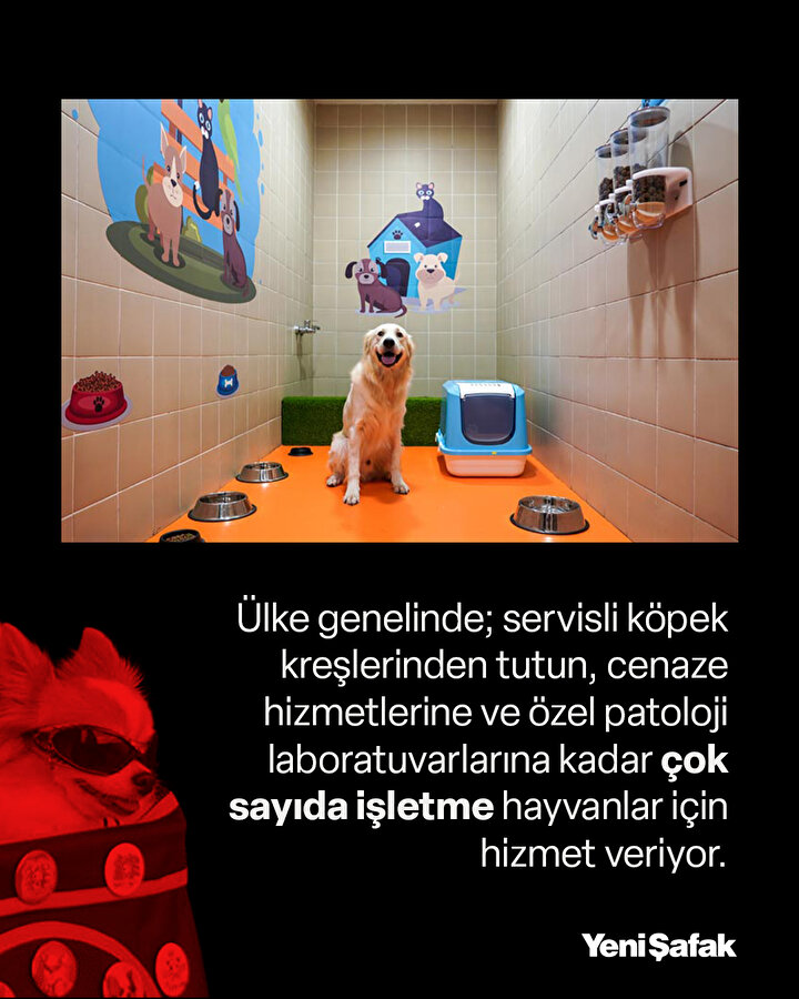 /piri/upload/3/2025/8/15/04256ba9-b3.jpg