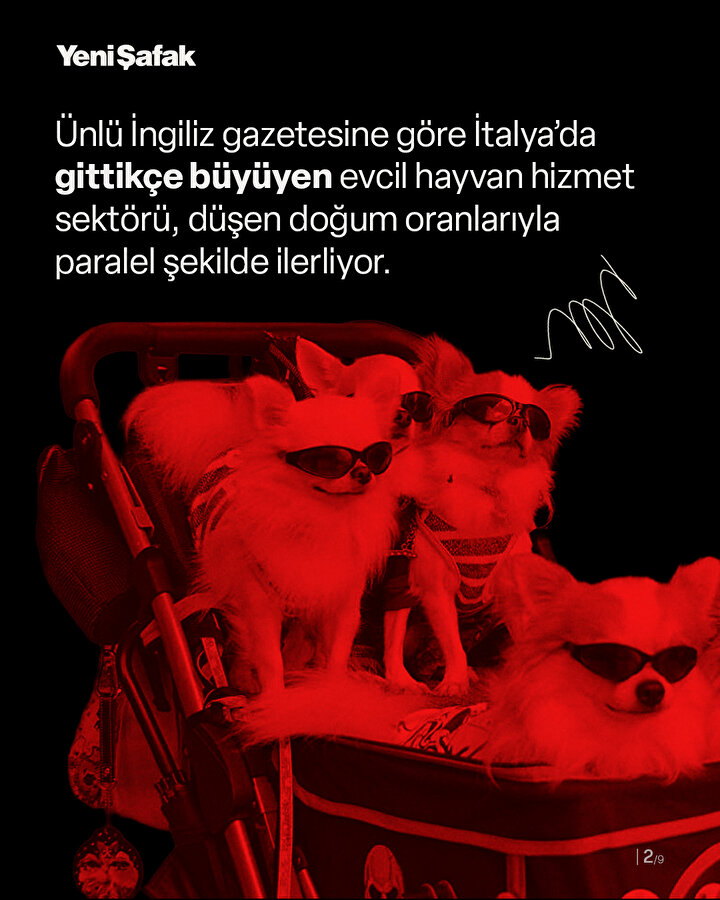 /piri/upload/3/2025/8/15/c32ce517-b2.jpg