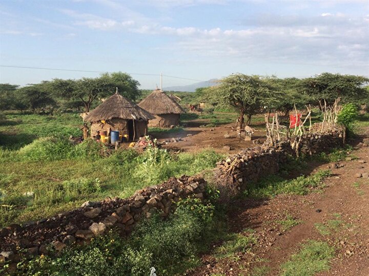 Addis Ababa'dan Harar'a uzanan yola, elektrik ve sudan yoksun köyler eşlik ediyor. (Fotoğraf: İsmail Yasin Avcı)