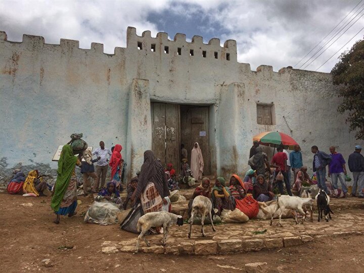 Harar surlarının iç kısmına kurulan tezgahlarda meyve sebzenin yanı sıra küçükbaş hayvan satışları da yapılıyor. (Fotoğraf: İsmail Yasin Avcı)