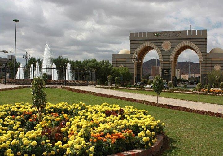 Medine İslam Ünivetsitesi, çeşitli ülkelerden Arabistan'a göç eden İhvan üyeleri tarafından kuruldu.