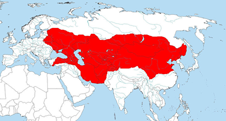 1245 yılı itibariyle, Moğol İmparatorluğu'nun sınırları...