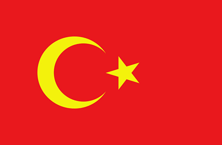 Türkiye Cumhuriyeti bayrağına benzerliğiyle dikkat çeken Alaş Orda Hükümeti'nin bayrağı.