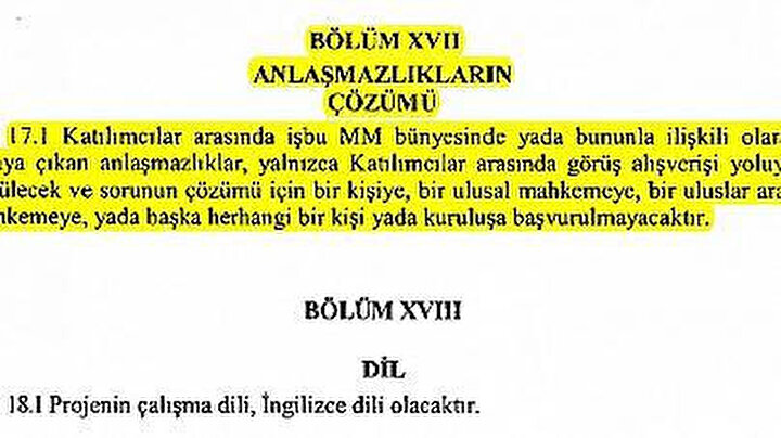 Tartışmalara neden olan 17. madde