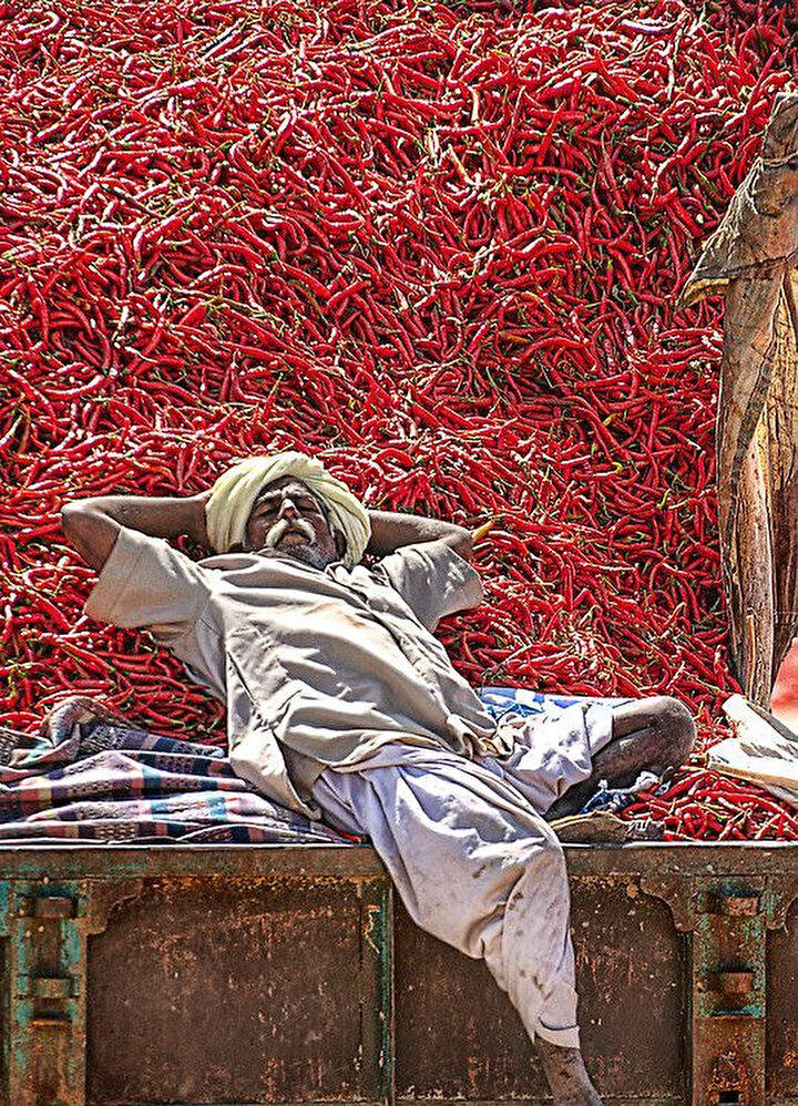 Kırmızı(Chilli) biberlerin üzerinde dinlenen bir Hindistanlı.
