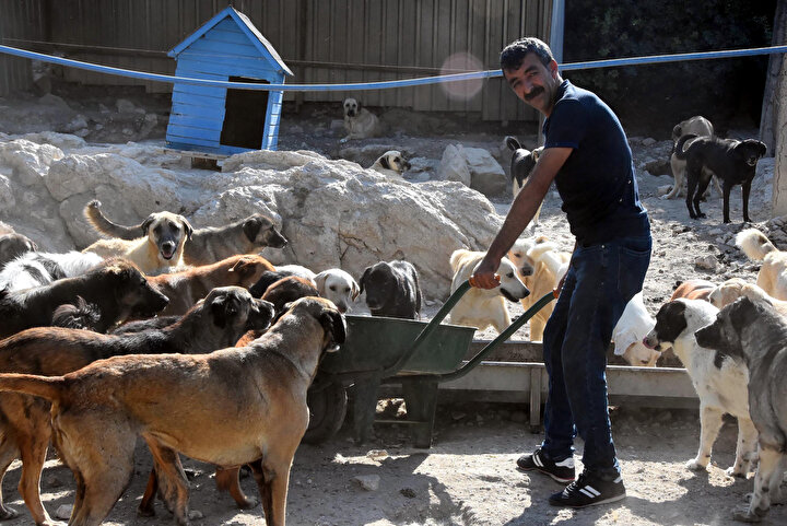 Barınakta yaşayan hayvanların şartlarının iyileştirilmesi de gündemde.