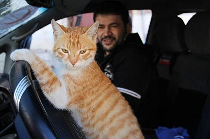 Ala ve kedisi Ernesto.