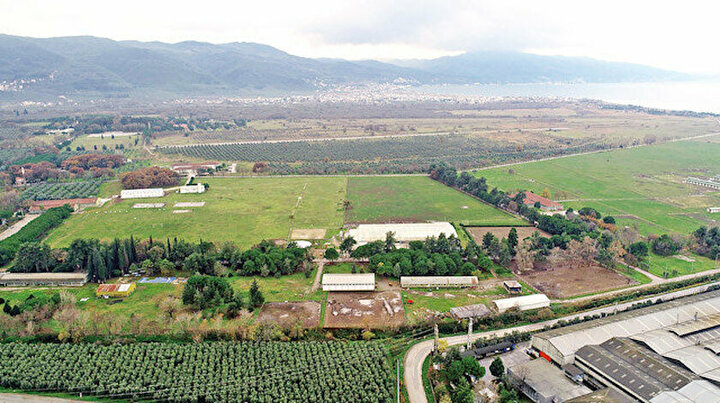 Gemlik'te yerli otomobil fabrikasının kurulacağı yer