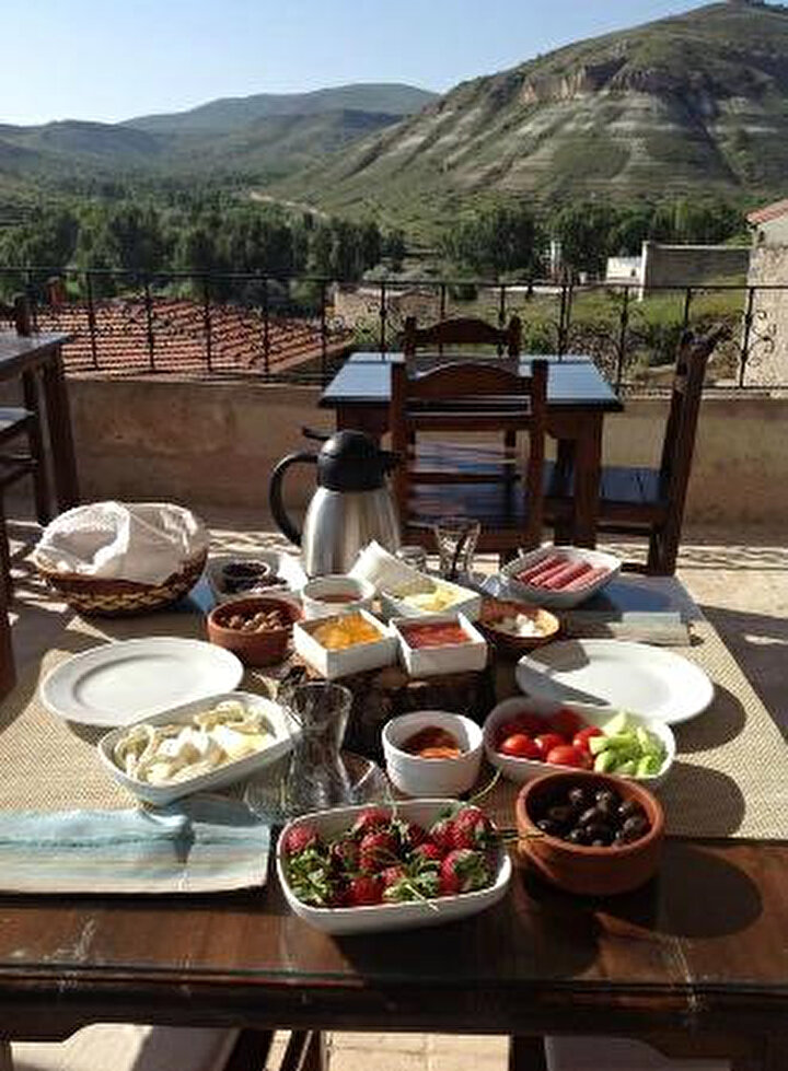 tripadsivor