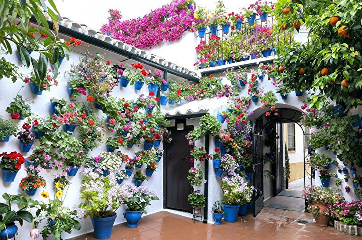 Patios Cordobeses – En güzel Avlu Yarışması’nda en güzel avlu için aileler yarışıyor