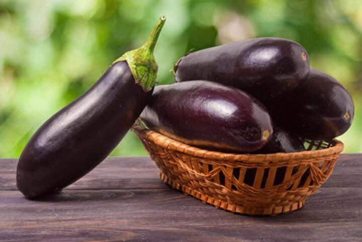Patlıcanın ilk yetiştiriciliği M.Ö 5. yüzyılda Hindistan'da gerçekleştirilmiştir.