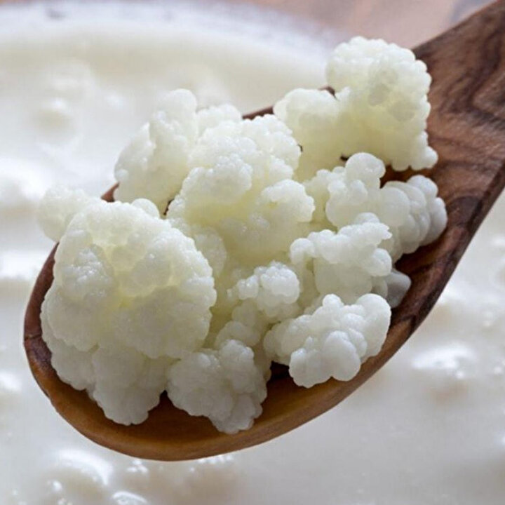 Kefir, beyazımtrak renkte, karnabaharı andırır biçimde ve genellikle bezelye veya fındık büyüklüğünde tanelerden oluşmaktadır.