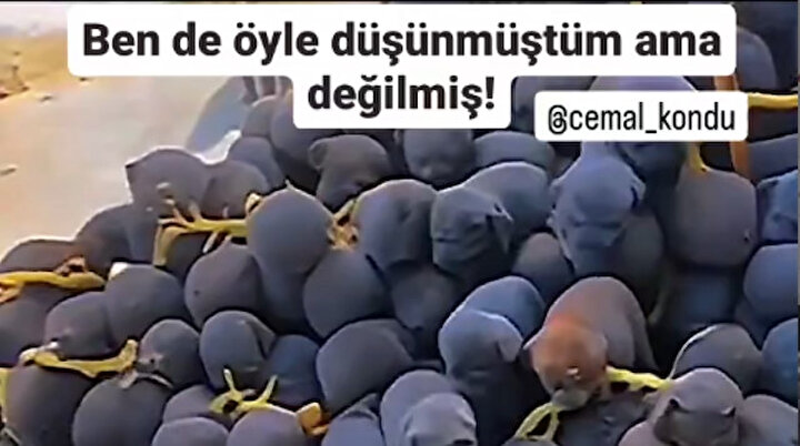 Evet biz de öyle düşündük! 😅