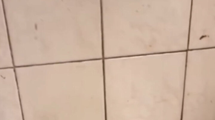 Kahve aşkı bambaşka 😅