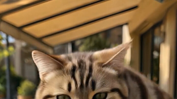 Bu sıcakta iyi gider! 😅