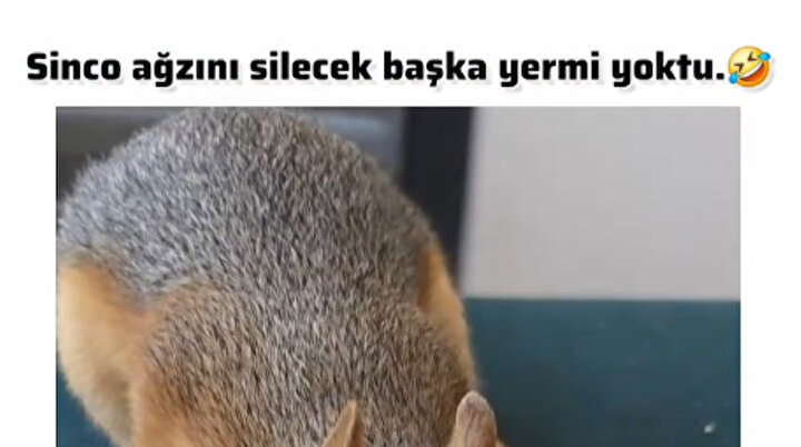 Peçete uzatsaydınız 🤣