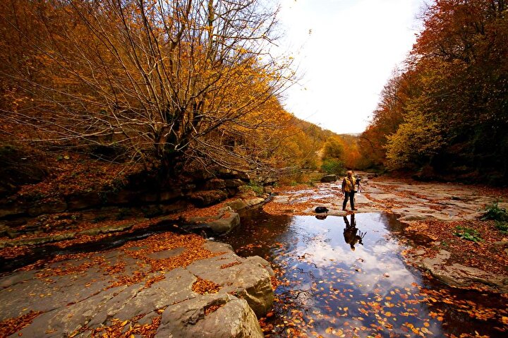Burada gezi, treking, dağcılık, piknik ve foto safari için çok uygun alanlar mevcut.
