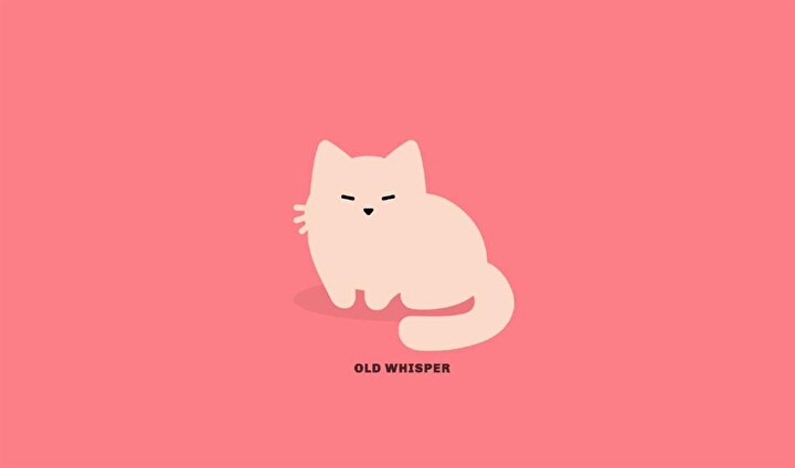 Tabby Cat