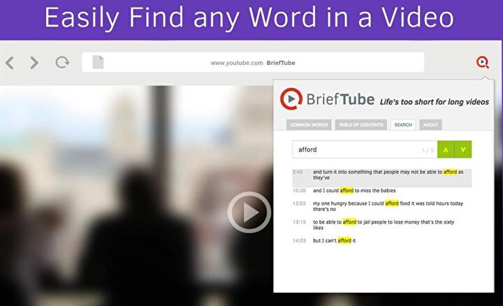 BriefTube - Instant video summarizer