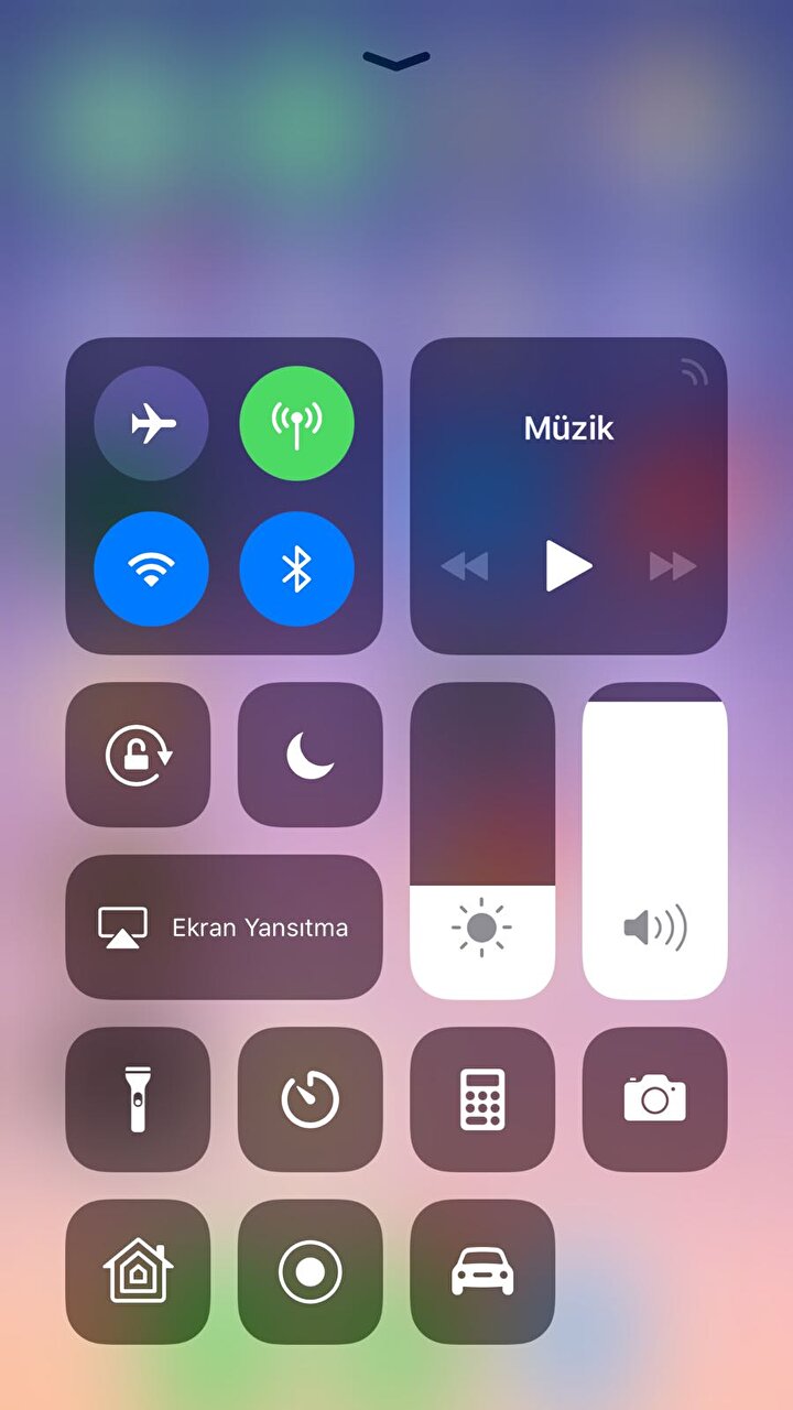 Sonuç: Özelleştirilmiş bir Denetim Merkezi!