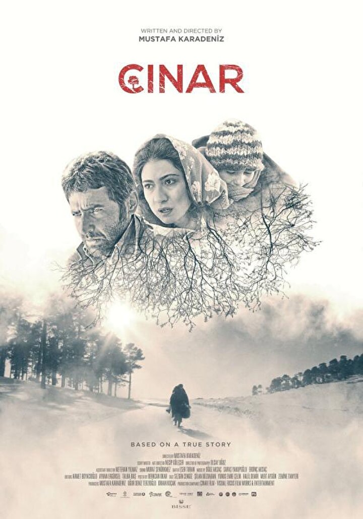 2. Çınar