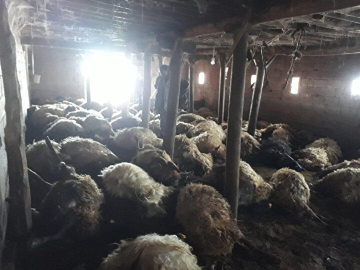 yeniSafak