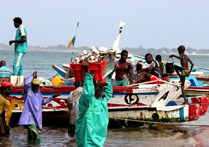 Senegalese fishermen of the Saloum Delta | Culture and Arts