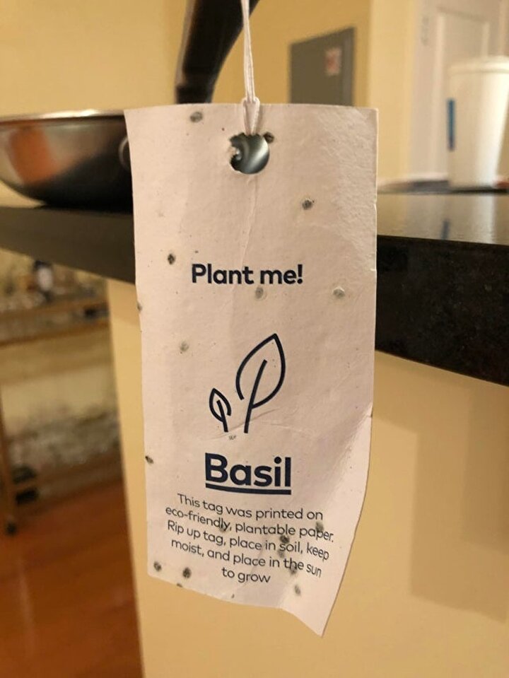 Yeni aldığınız tencerenin etiketinin içine, evde ekmeniz için tohumlar yerleştirildiğini düşünün...