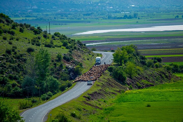 yeniSafak