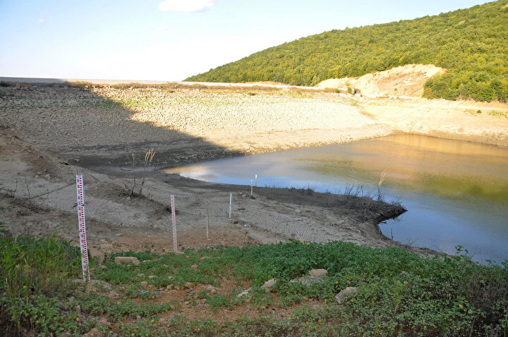 Ukrainadan samimiy fotosuratlar Keksa xonimlar eshaklarida sperma olishadi
