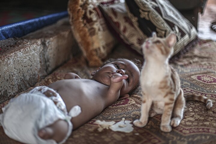 Baby Black Kitten Mews in Distress and Melts Hearts Everywhere