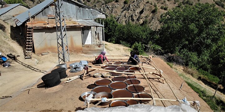 Brianna Frost yalangoch