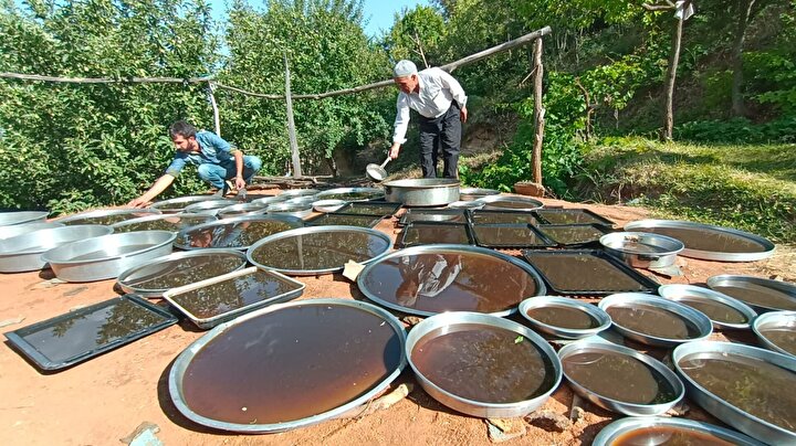 Marina va Sharkoning jinsiy aloqa oyinlari