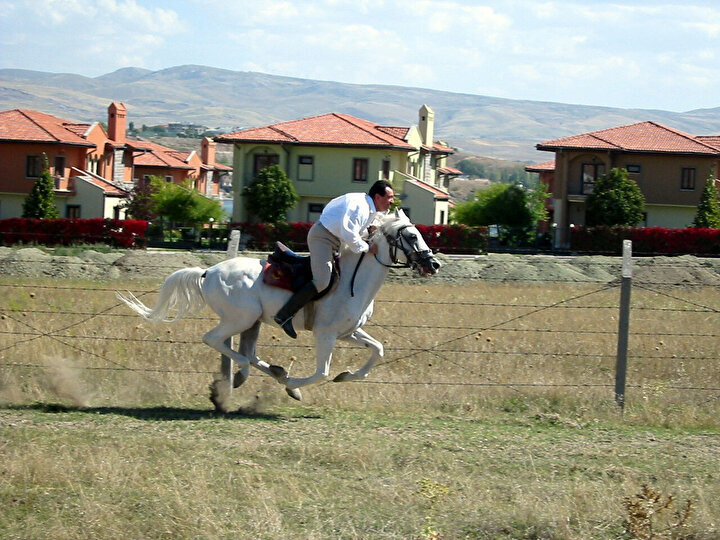 yeniSafak