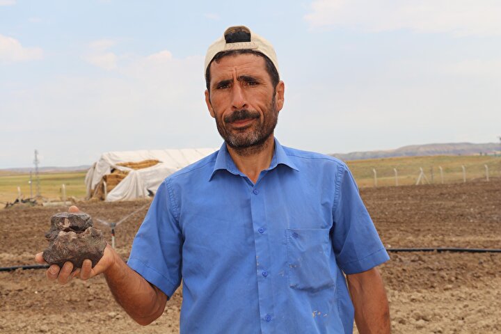yeniSafak