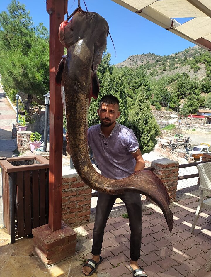 yeniSafak