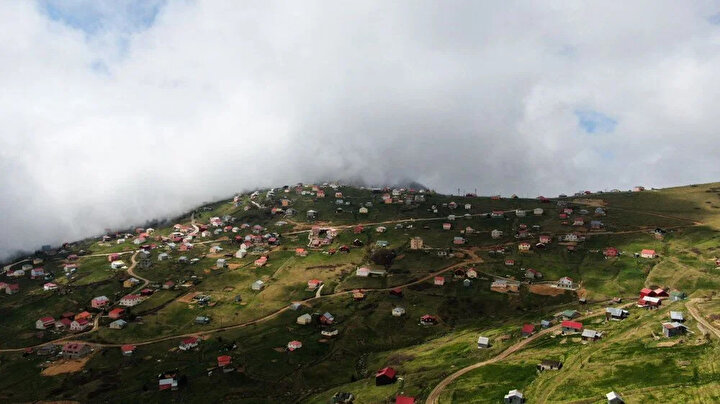 yeniSafak