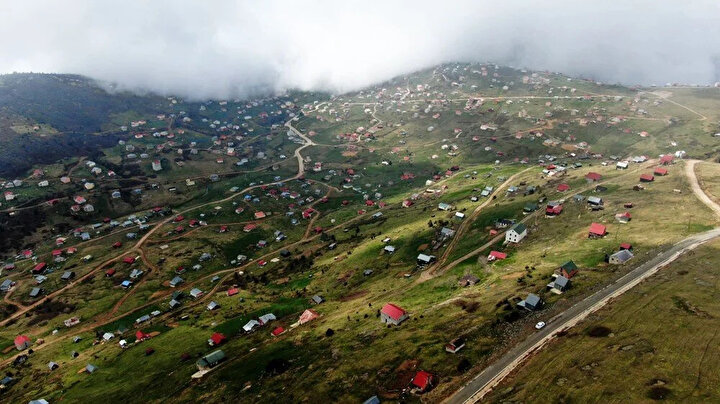 yeniSafak