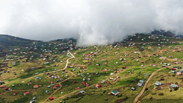 yeniSafak
