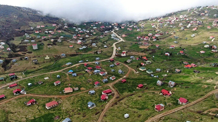 yeniSafak