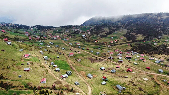 yeniSafak
