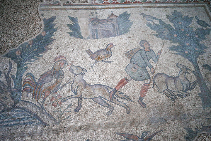 yeniSafak