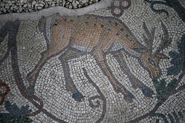 yeniSafak