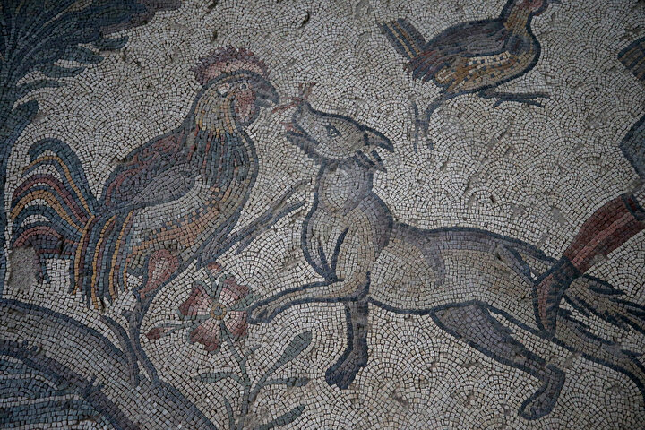 yeniSafak