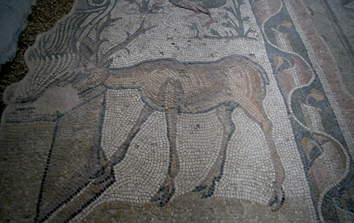 yeniSafak